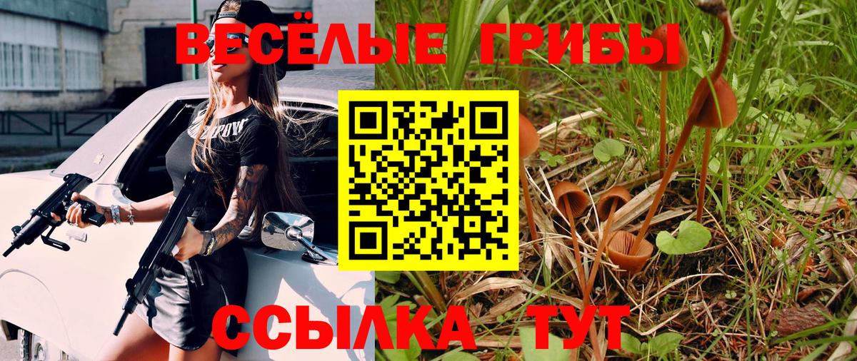 Галлюциногенные грибы мухоморы Алатырь