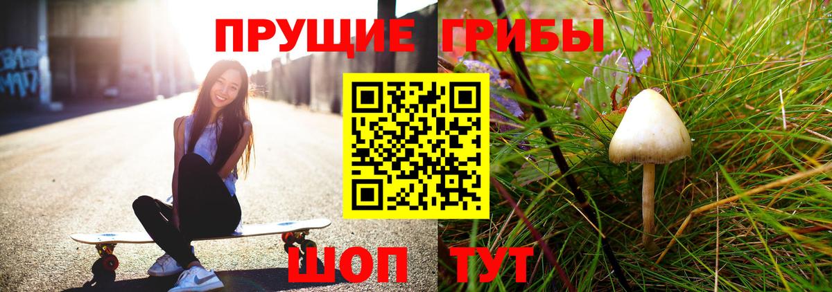 Псилоцибиновые грибы Cubensis  Вход с VPN  Алатырь 